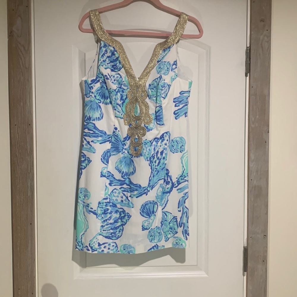 Lily poster size 10 blue and white dress